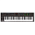 Nektar Impact LX 61+  USB/MIDI клавиатура